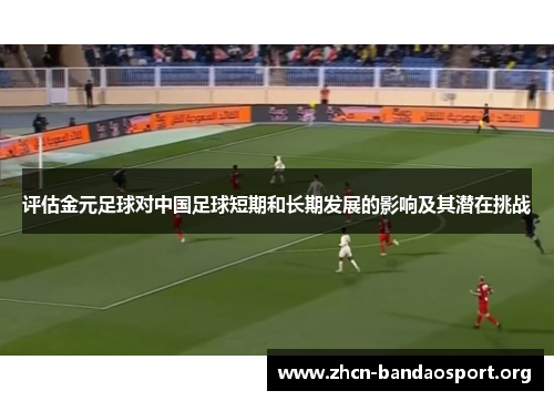 评估金元足球对中国足球短期和长期发展的影响及其潜在挑战 评估金元足球对中国足球短期和长期发展的影响及其潜在挑战