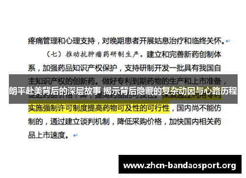 朗平赴美背后的深层故事 揭示背后隐藏的复杂动因与心路历程